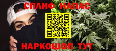 ALPHA PVP Пугачёв