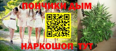 ALPHA PVP Пугачёв