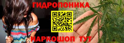 ALPHA PVP Пугачёв