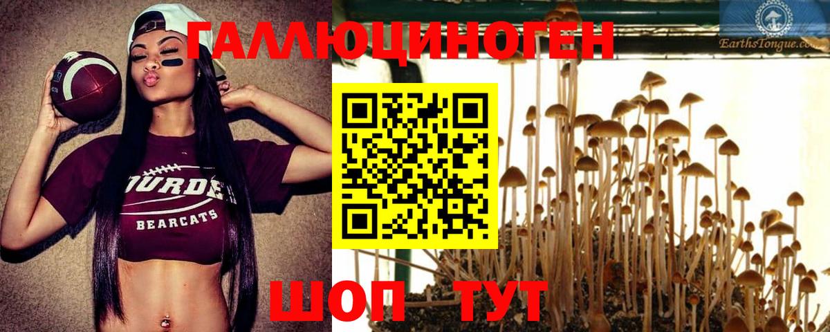 Галлюциногенные грибы ЛСД  Галлюциногенные грибы Psilocybe  купить закладку  Вход с VPN  Саров 